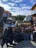 2003 Freightliner Dump Truck *Low Miles*