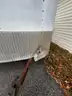 1999 Forest River ENCLOSED TRAILER
