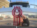 2010 Kenworth T800 14.9L L6 - Cummins ISX15 Diesel Engine