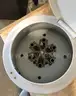 Used Fisher Scientific model 225