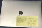 3 used MacBook Pro. (OP)