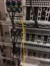 Bitcoin and Ethereum mining operation with backup generator power