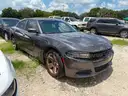 2015 Grey Dodge Charger