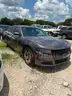 2015 Grey Dodge Charger
