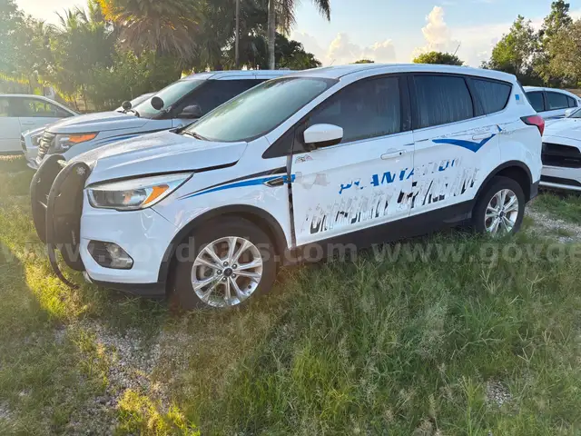 2019 White Ford Escape
