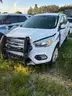 2019 White Ford Escape