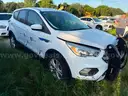 2019 White Ford Escape