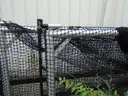 Track and field throwers cage.