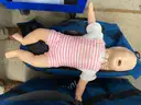 Lot of Twelve (12) CPR Mannequins / Four (4) Infant, Four (4) Child, & Four (4) Adult