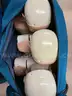 Lot of Twelve (12) CPR Mannequins / Four (4) Infant, Four (4) Child, & Four (4) Adult
