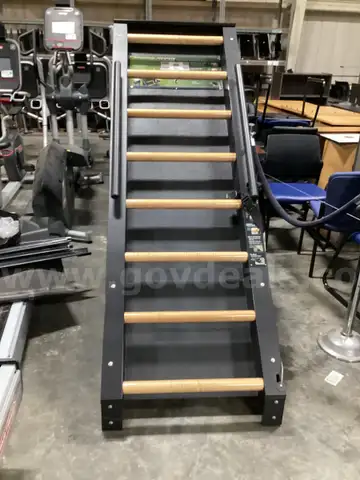 Jacobs Ladder (fitness equipment)