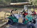 EZ Go Golf Cart, Electric