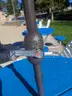 Lot of 10 Push Button Tempera Tilt Pool Umbrellas
