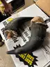 Mascot Head - Bison