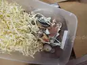 Misc Ocean Themed Decorations in one tote - some new in package