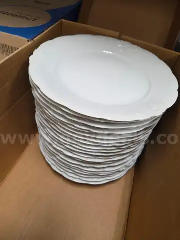 Lot of VINTAGE Savior Vivre Salzburg S1000 Fine China - 10.5&#x22; Plates (some may have minor small chips/cracks)