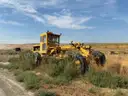 1955 CAT D7 Motor Grader