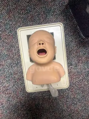 Neonate Intubation Head