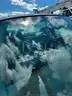 2003 Ford F-150 XL 2WD