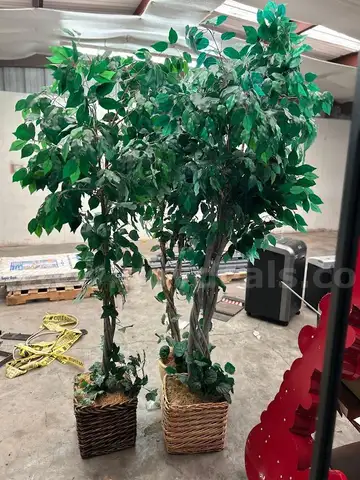 three fake trees in square baskets