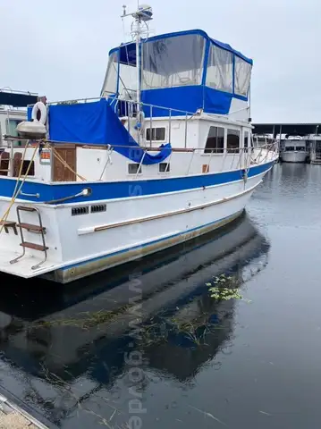 1979 DEFEVER