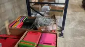 1 Pallet of Ipads/Ipad minis with cases and mixed box of charging cables