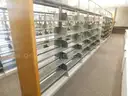 Library shelving bookcases