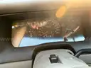 2001 Ford Crown Victoria CVPI NO RESERVE!!!!!!!!