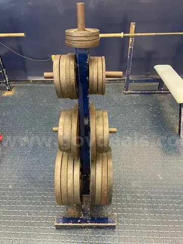 Assorted plates with plate rack: