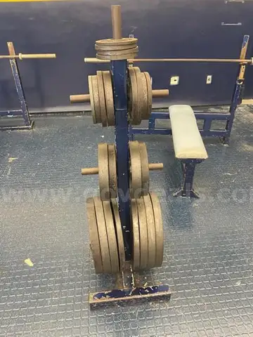 Assorted plates with plate rack: