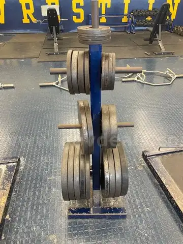 Assorted plates with plate rack: