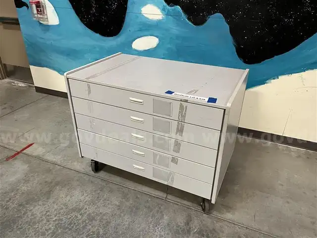 Rolling Cabinet Lot A-639