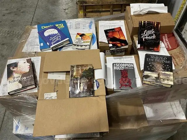 K-12 Library Assorted Books Lot A-851