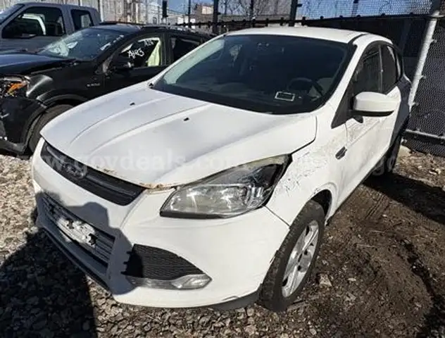 2014 Ford Escape (M1022)
