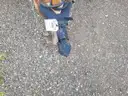 Utility Trailer