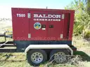 2006 Baldor TS80T