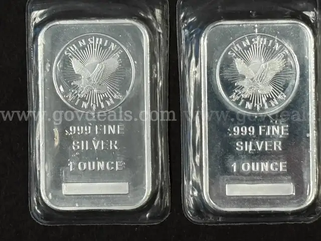TWO 1 oz .999 Silver Bars