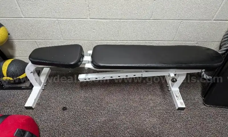 ParaBody Adjustable Bench