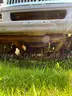 WHITE 2011 INTERNATIONAL DURASTAR SHUTTLE TRUCK 4300