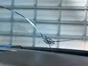WHITE 2018 CHEVROLET TAHOE