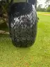 2019 CLUB CAR CARRYALL TURF 500
