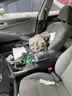 BLUE 2013 HYUNDAI SONATA