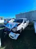 WHITE 2014 CHEVROLET CAPRICE