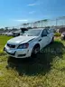 WHITE 2014 CHEVROLET CAPRICE