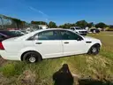 WHITE 2014 CHEVROLET CAPRICE