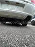 WHITE 2016 Chevrolet Caprice