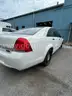 WHITE 2016 Chevrolet Caprice