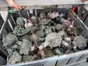 Scrap Water Meters