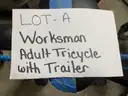 Worksman Adult Tricycle with Trailer