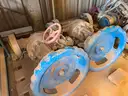 Valves; Check, Gate, Globe, .75in to 8in, CF8M/WCB/A105/316, Kitz/Ladish/Others, UNUSED, 1 LOT